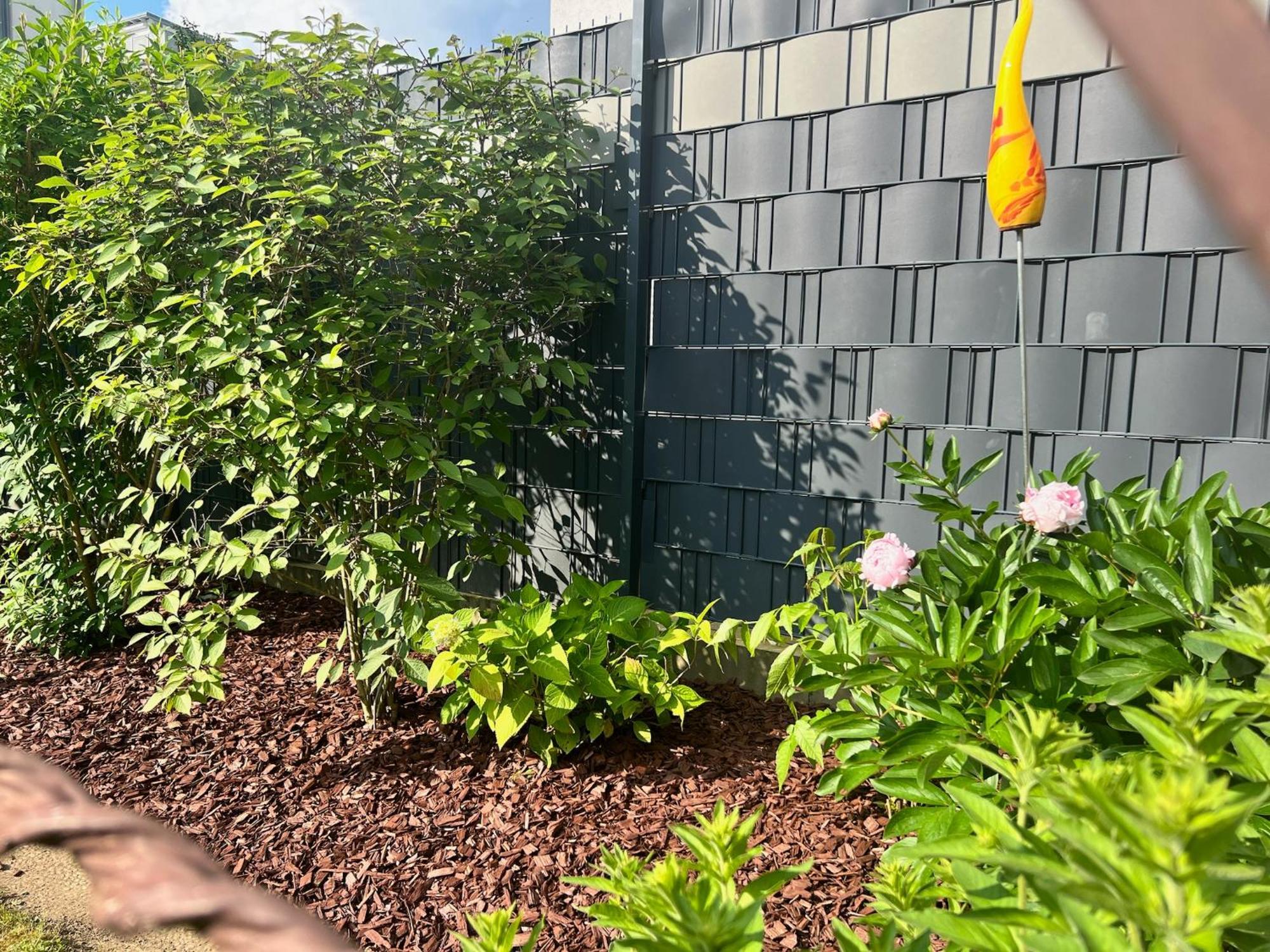 Barrierefreies Ferienhaus Mit Garten Bei Koeln هرث المظهر الخارجي الصورة
