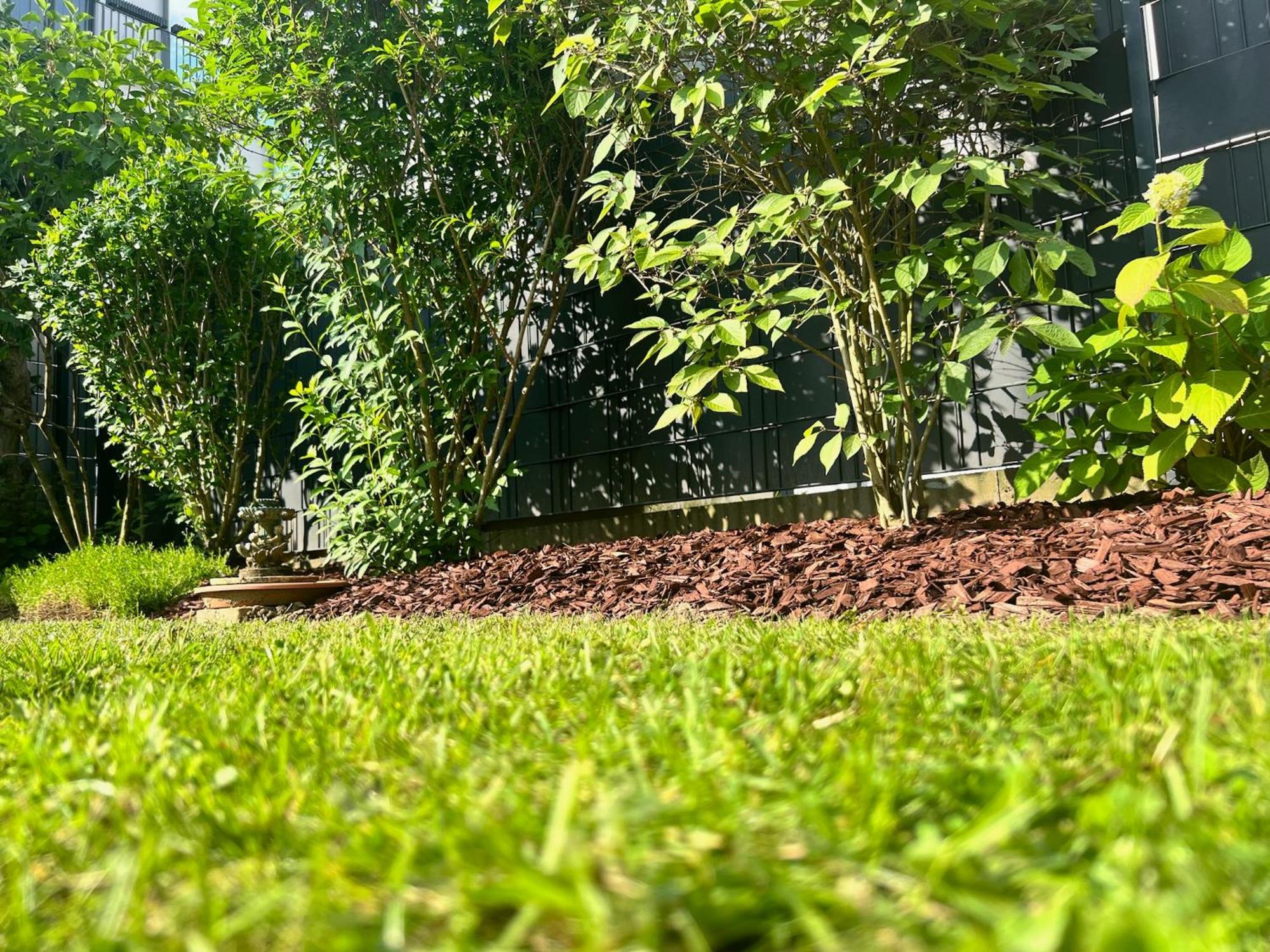 Barrierefreies Ferienhaus Mit Garten Bei Koeln هرث المظهر الخارجي الصورة
